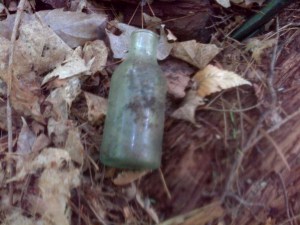 Toronto-20140712-00295