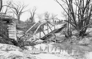 Hoggs Hollw Bridge Hazel Damage