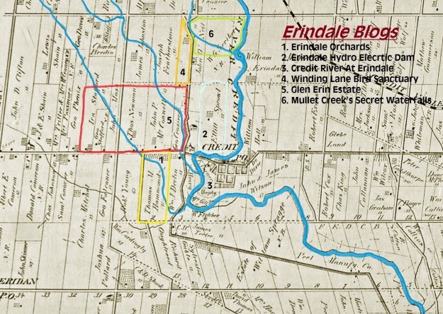 sawmill valley legend