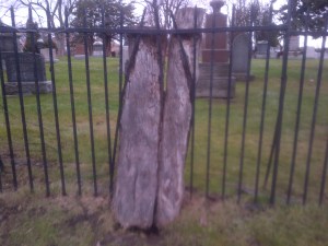 Mississauga-20141228-00524