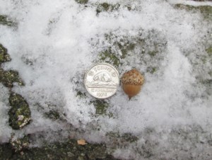 ???????????????????????????????