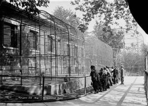 poi-template_clip_image002_0013 (1)