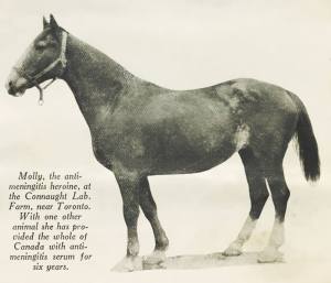 10415675_716544785058280_2051002745778299447_n