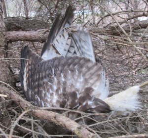 ???????????????????????????????