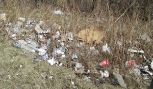 ???????????????????????????????