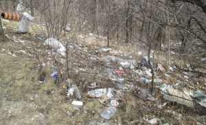 ???????????????????????????????