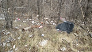 ???????????????????????????????