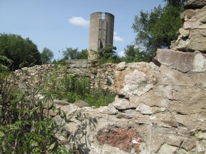 IMG_7606