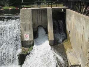 IMG_7626