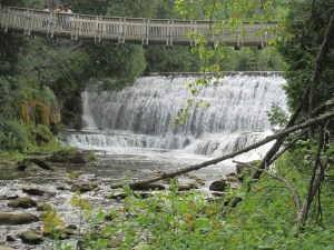 IMG_7653