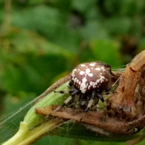 IMG_20150912_092518_hdr