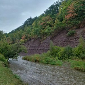 IMG_20150912_093333_hdr