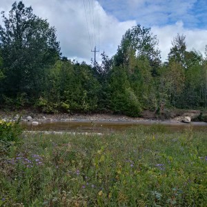 IMG_20150913_134950_hdr