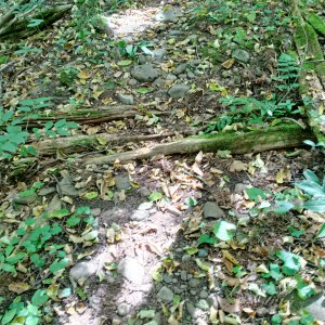 IMG_20150913_144634_hdr