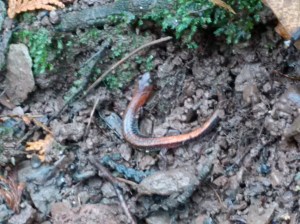 IMG_20151213_124021 (2)