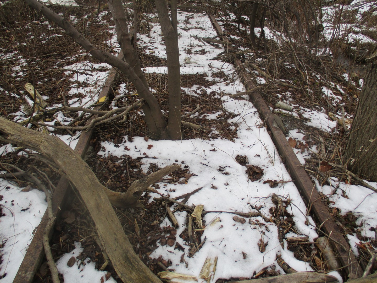 Milkman’s Lane | Hiking the GTA