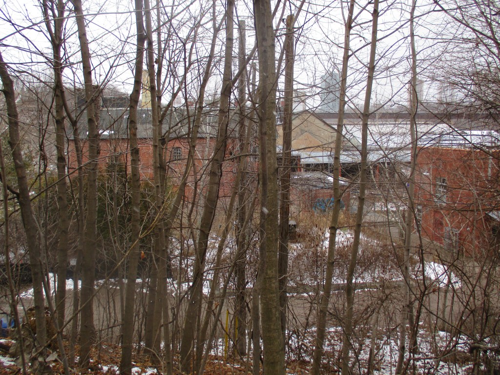 Milkman’s Lane | Hiking the GTA
