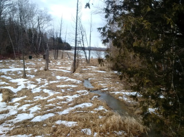 IMG_20160220_111856 (2)