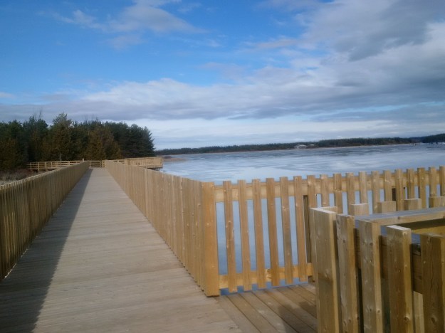 IMG_20160220_134256 (2)