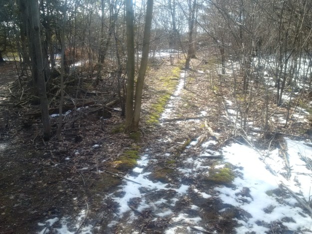 IMG_20160220_134730 (2)