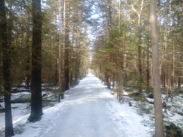 IMG_20160220_135714 (2)