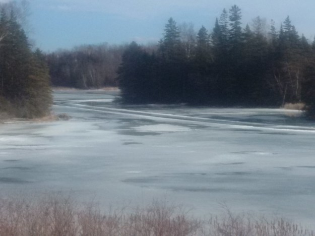 IMG_20160220_142642 (2)