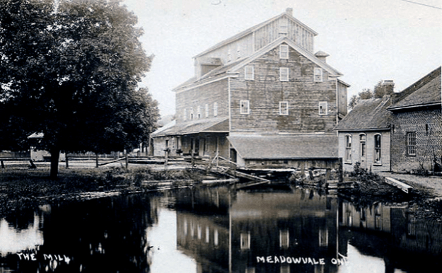meadowvale
