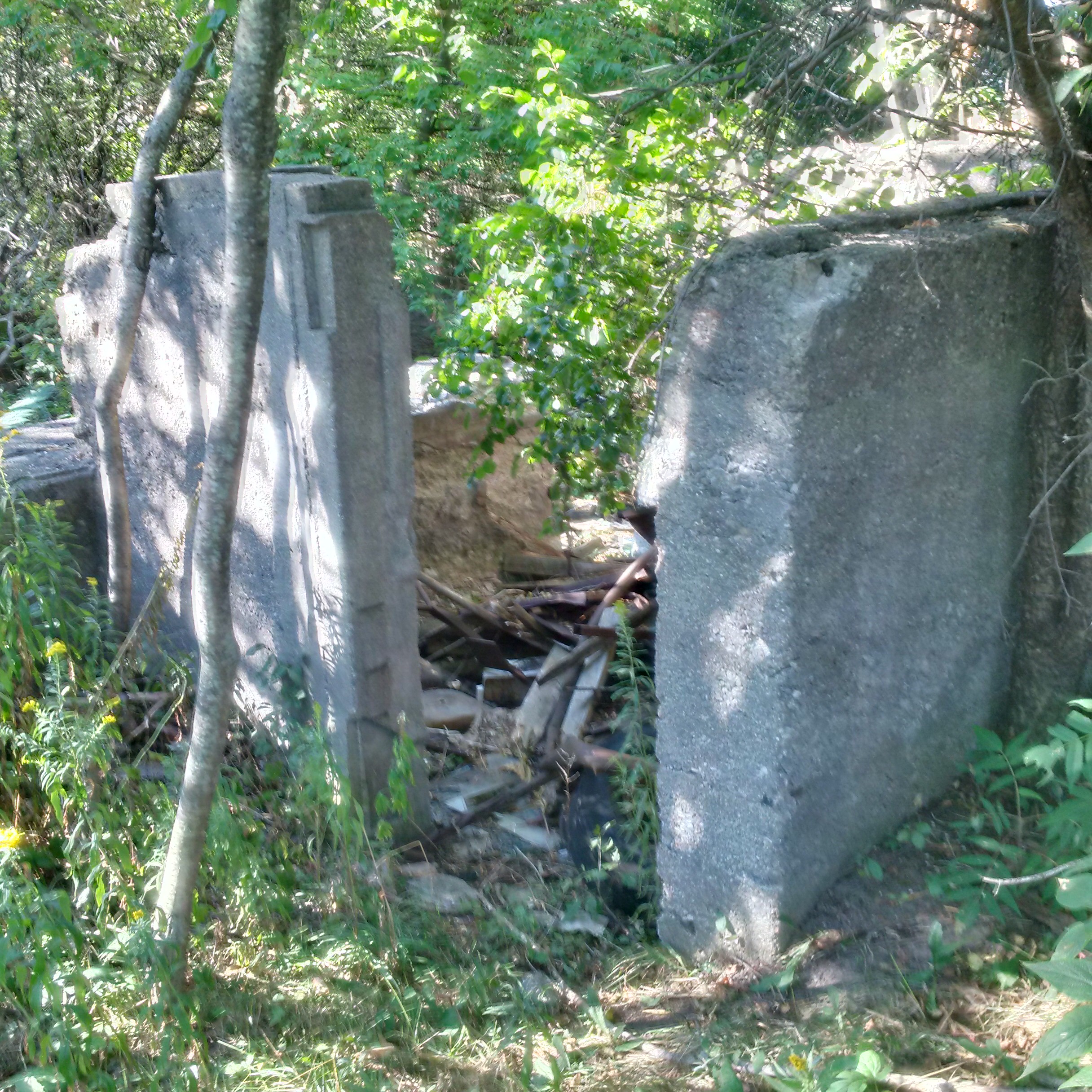 img_20160905_091945_hdr