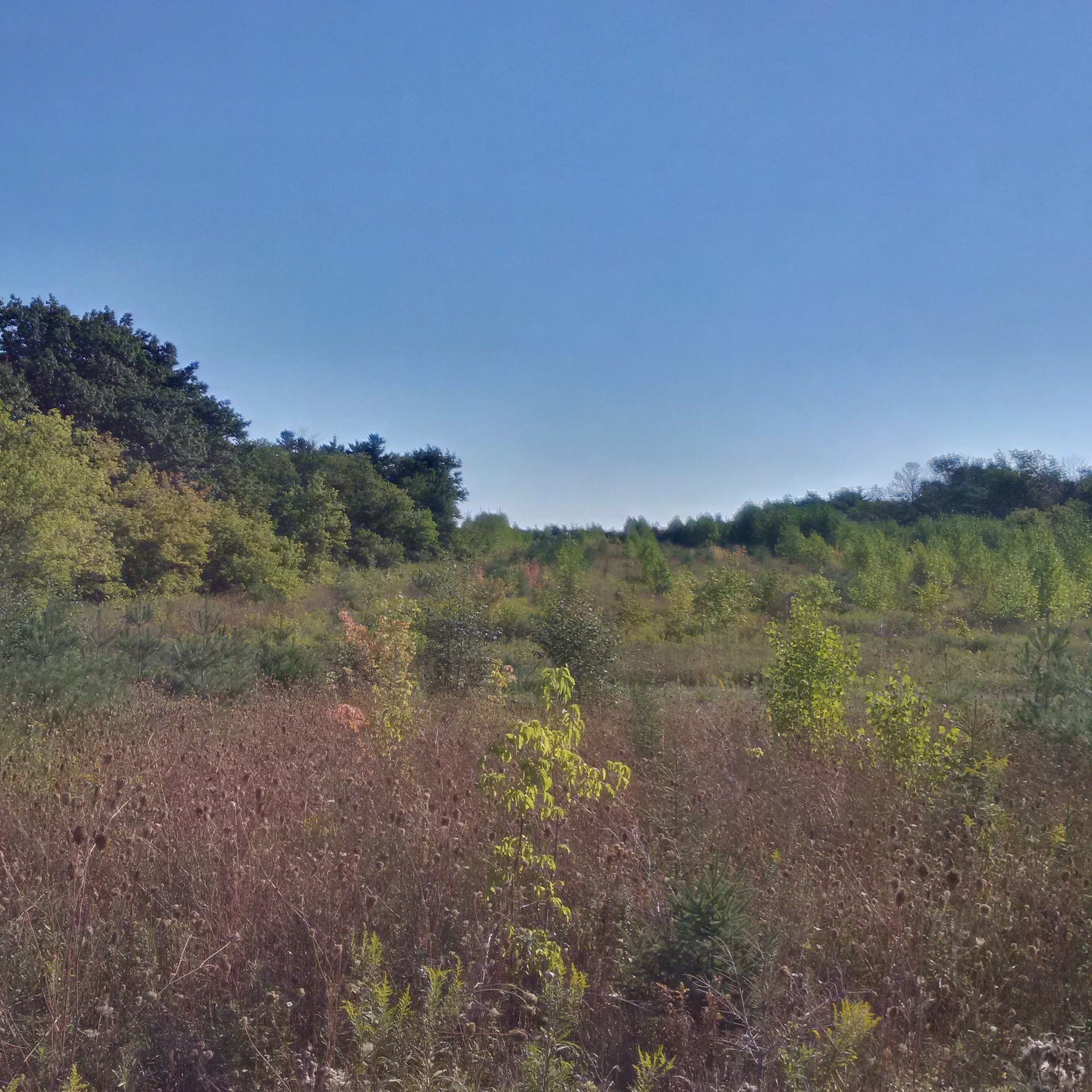 img_20160905_094413_hdr