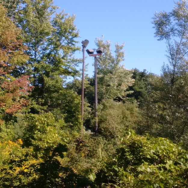 IMG_20160905_102431a