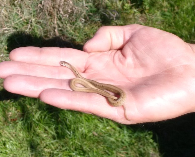 img_20161015_121100_edit