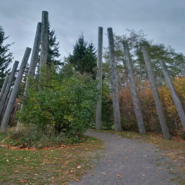 img_20161030_114020_hdr