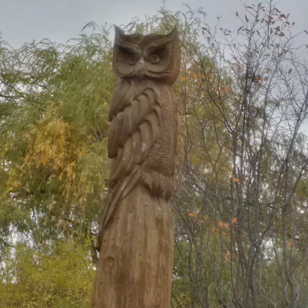 img_20161030_123205_hdr