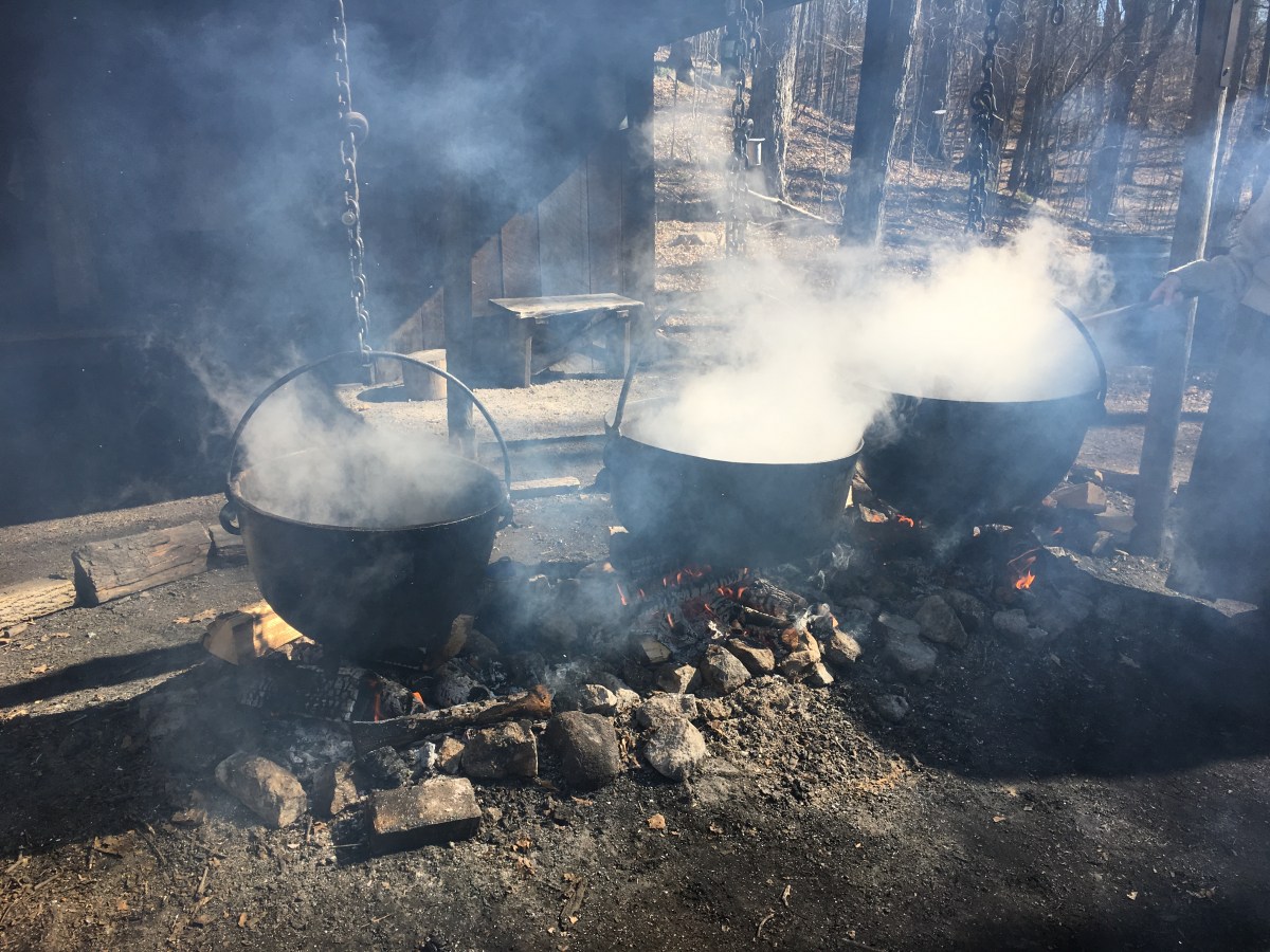 Maple Syrup Festival At Kortright Hiking the GTA