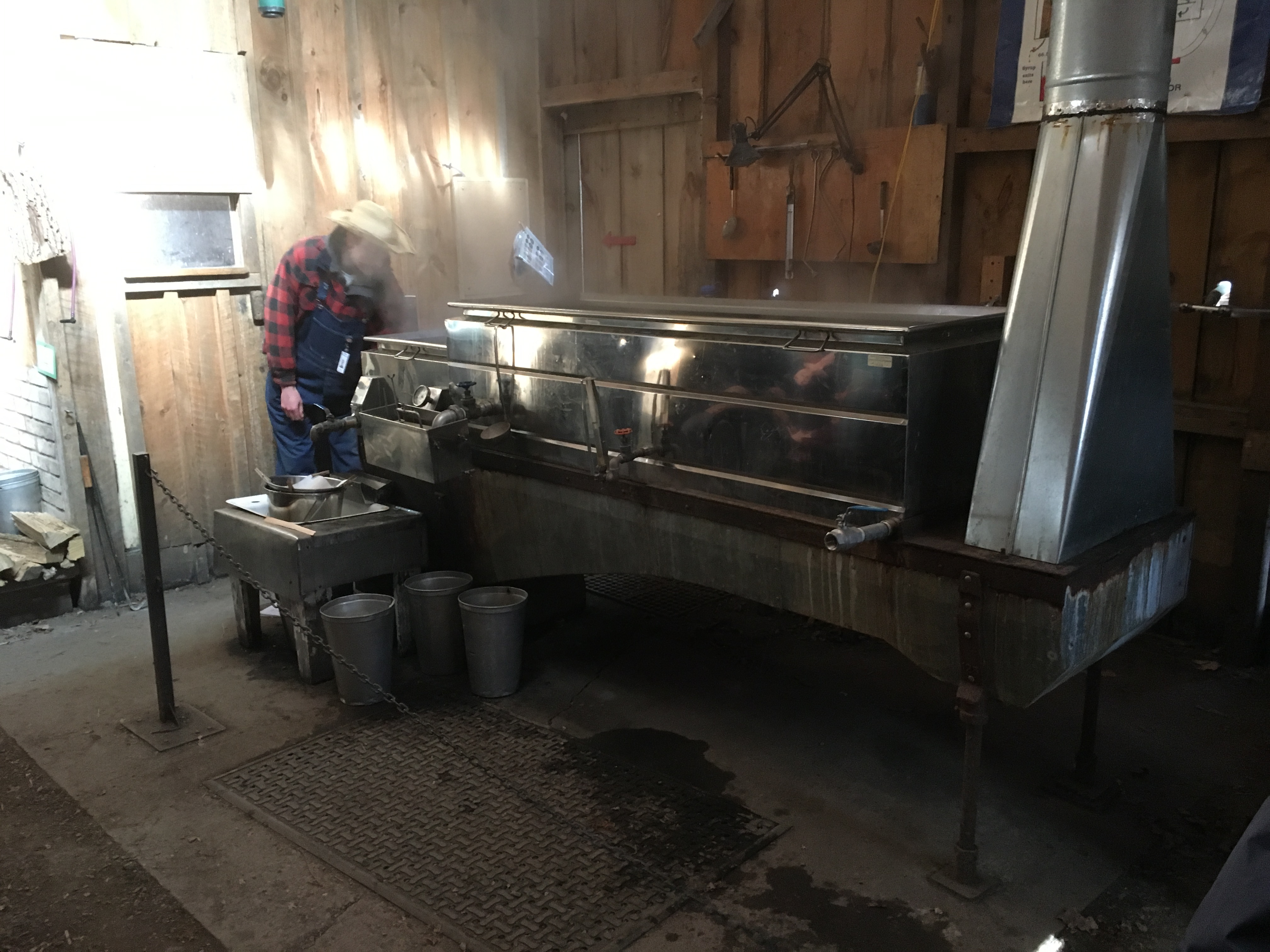 Maple Syrup Festival At Kortright Hiking the GTA