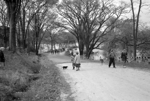 Old albion road bridge 1954