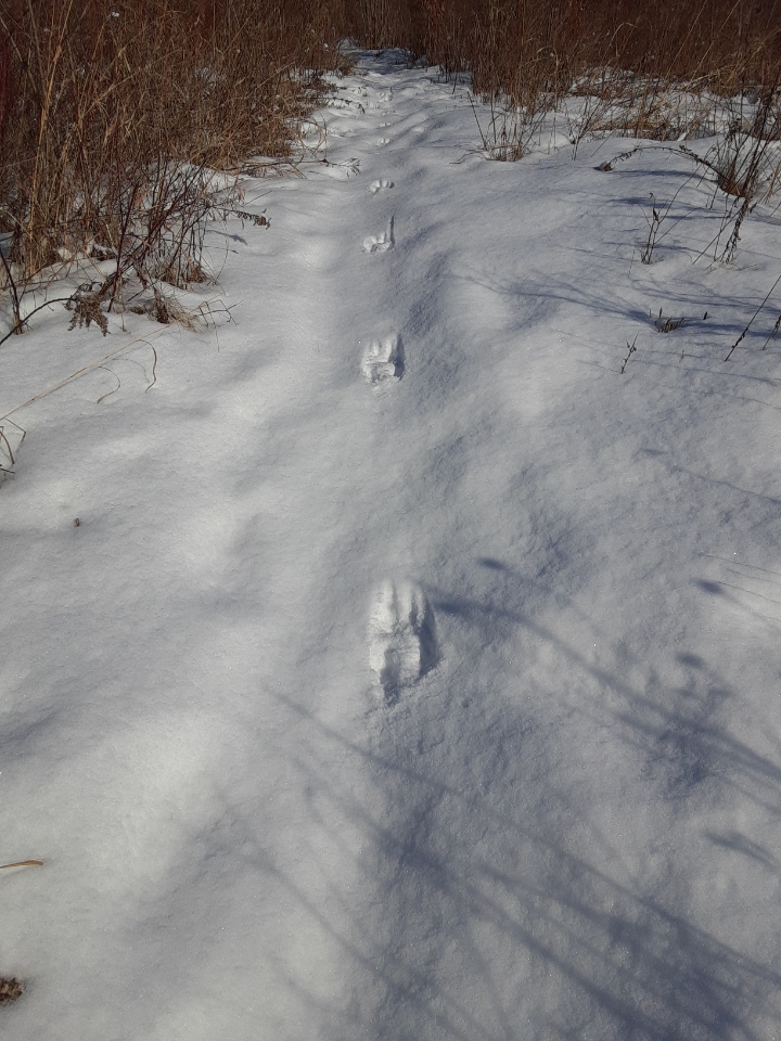 Resized_20200208_121253