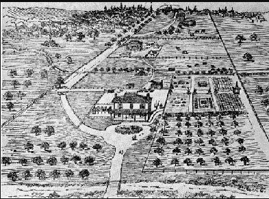 Jarvis estate hazel Burn