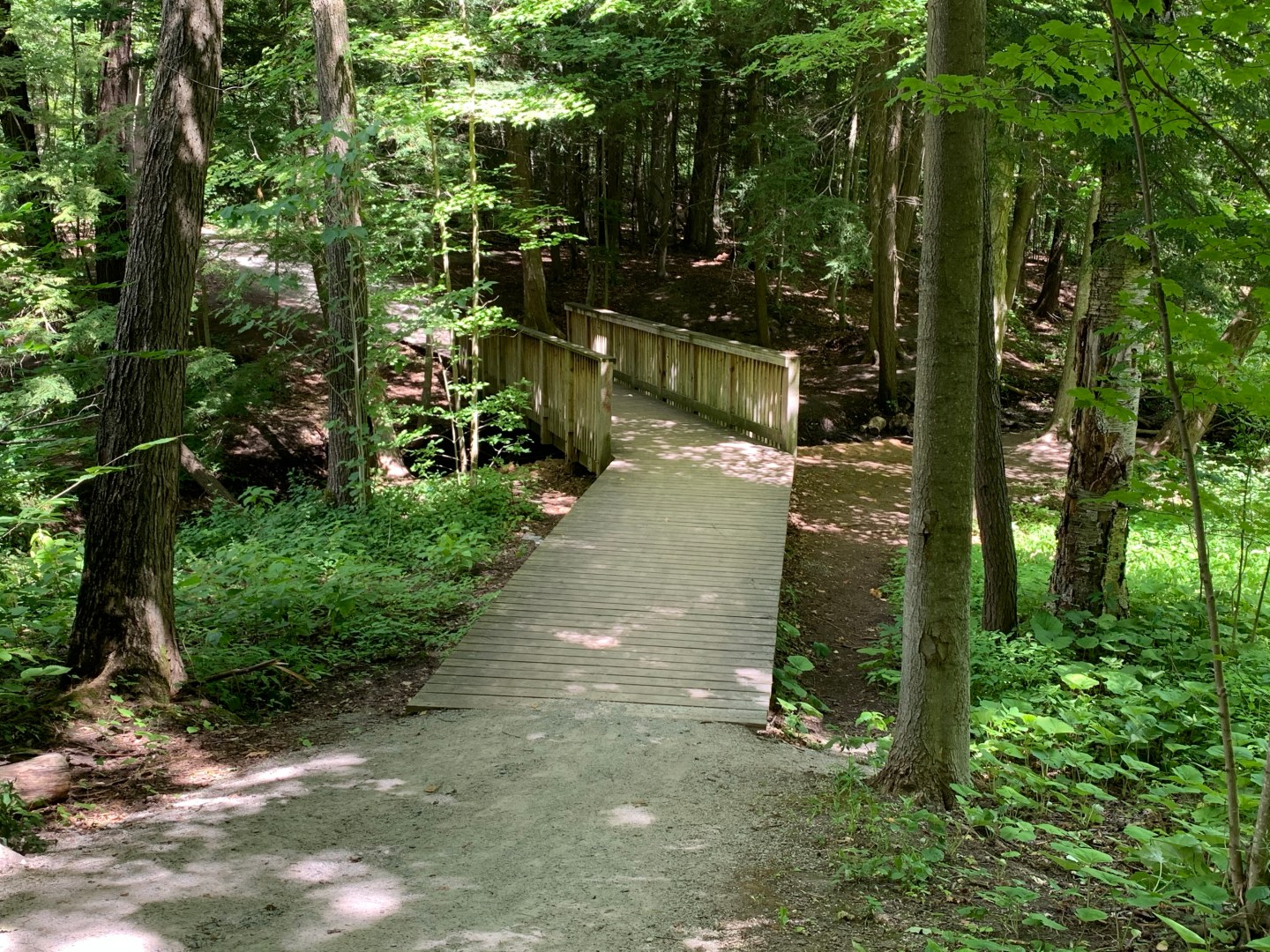 Maple Nature Reserve Trails